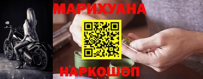 индика Будённовск
