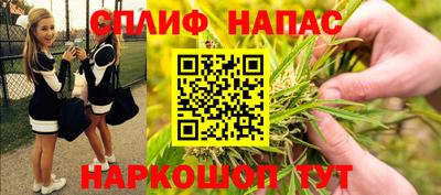 индика Будённовск