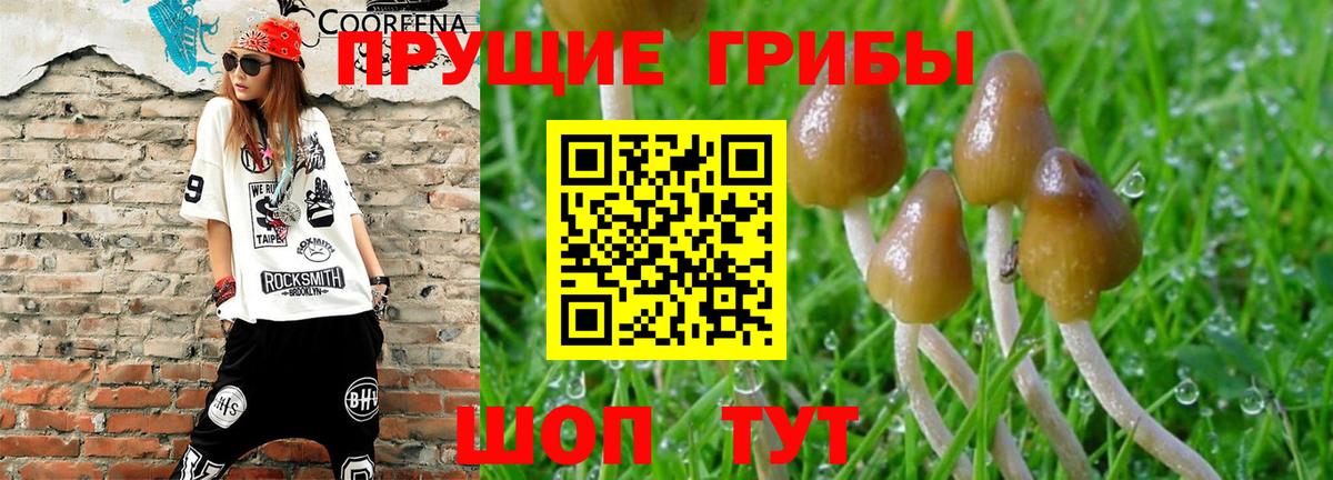 Псилоцибиновые грибы Magic Shrooms  Вход с VPN  Балашов 